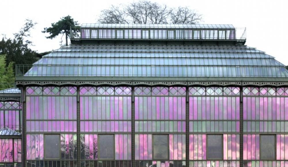 De l'insolite à Paris